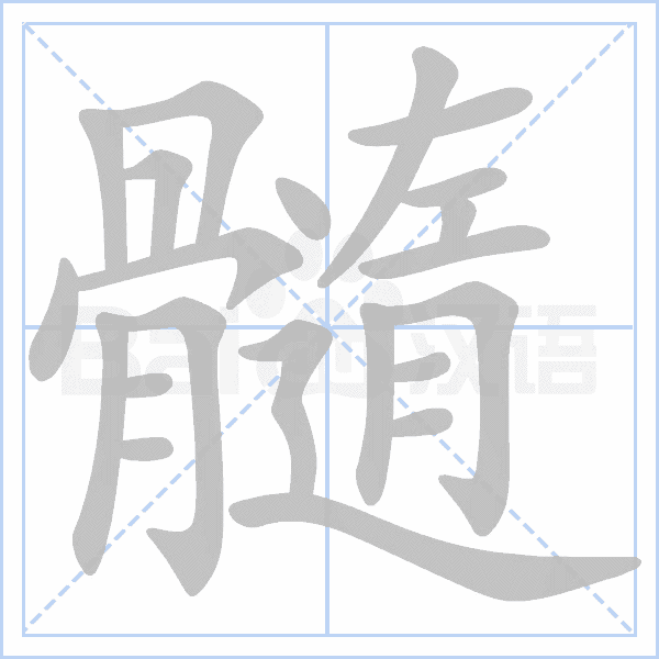 髓