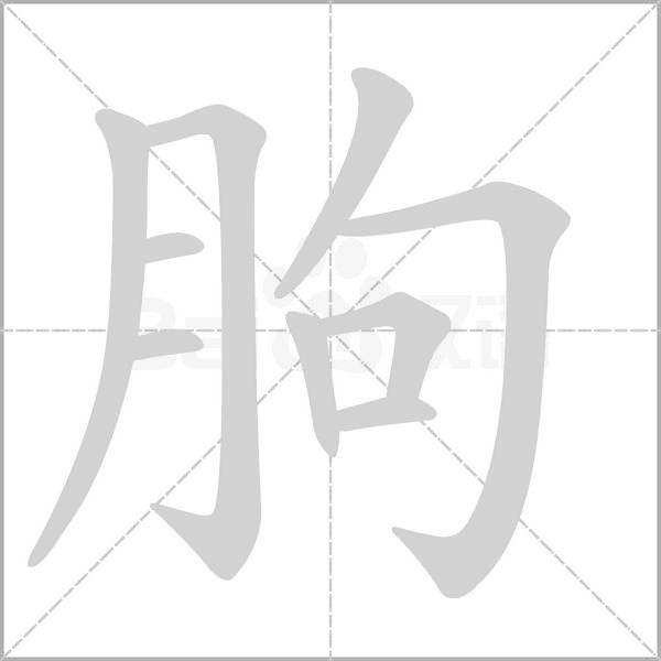 朐字的拼音、笔顺、意思、组词、成语