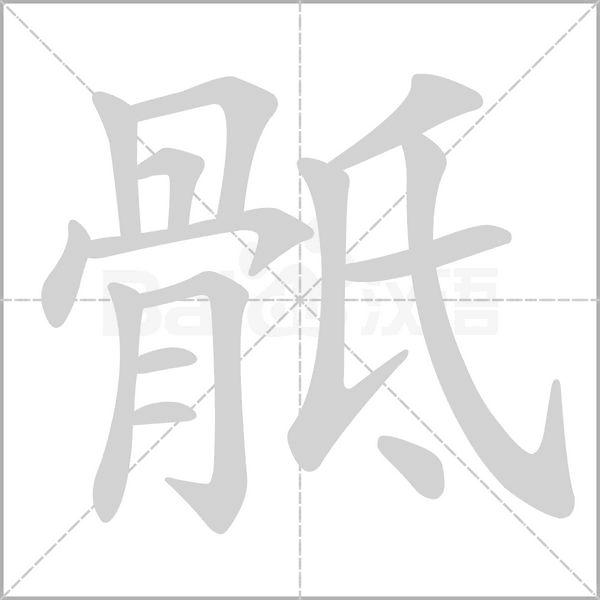 骶字的拼音、笔顺、意思、组词、成语