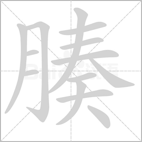 腠字的拼音、笔顺、意思、组词、成语