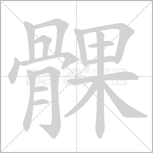 髁字的拼音、笔顺、意思、组词、成语
