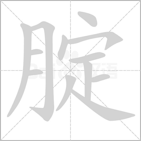 腚字的拼音、笔顺、意思、组词、成语