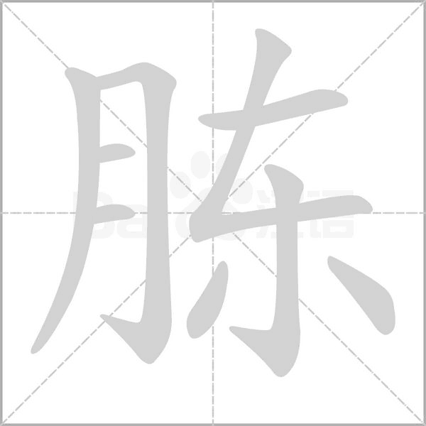 胨字的拼音、笔顺、意思、组词、成语