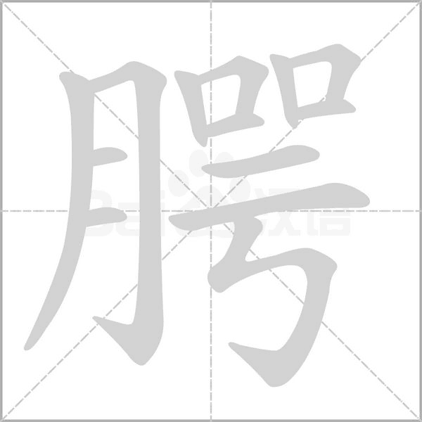 腭字的拼音、笔顺、意思、组词、成语