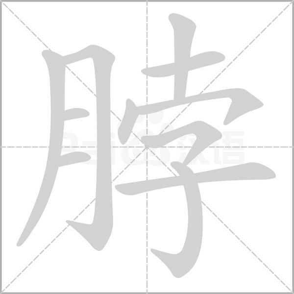 脖字的拼音、笔顺、意思、组词、成语