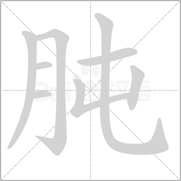 肫字的拼音、笔顺、意思、组词、成语