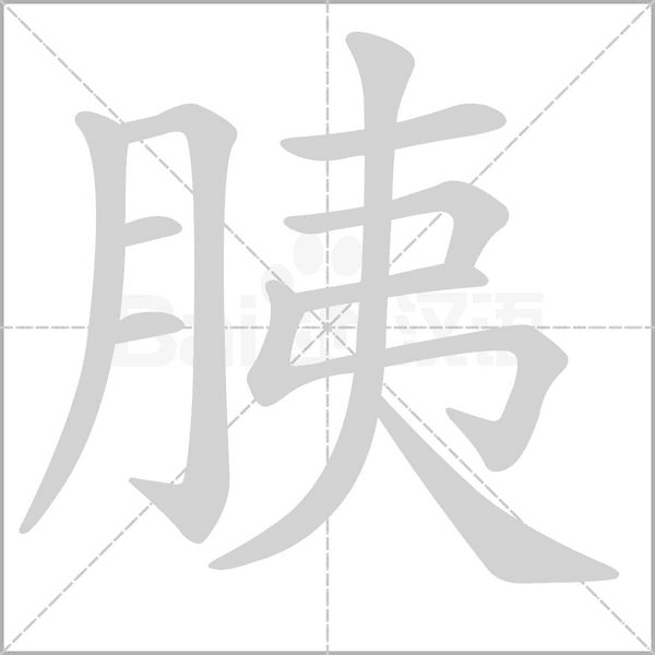 胰字的拼音、笔顺、意思、组词、成语