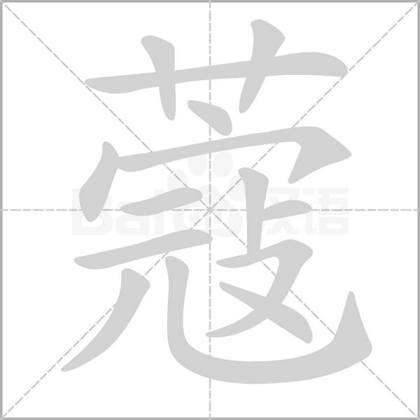 蔻字的拼音、笔顺、意思、组词、成语
