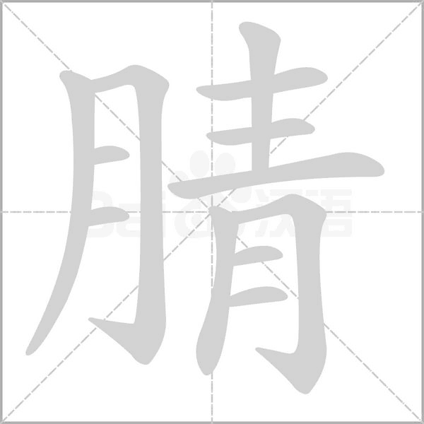 腈字的拼音、笔顺、意思、组词、成语