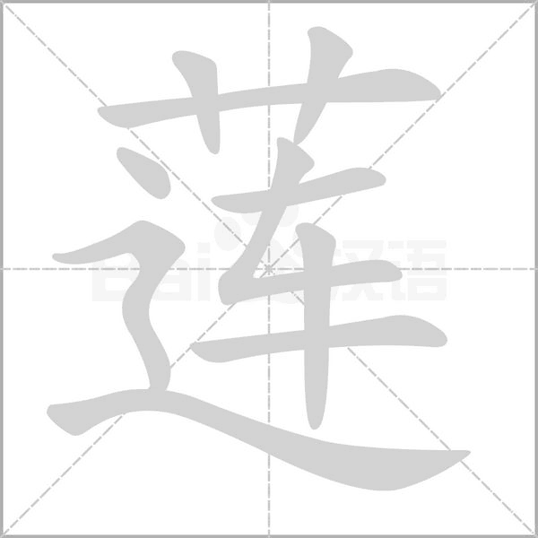 莲字的拼音、笔顺、意思、组词、成语