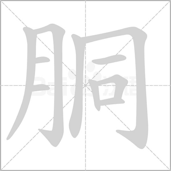 胴字的拼音、笔顺、意思、组词、成语
