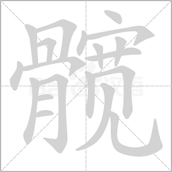 髋字的拼音、笔顺、意思、组词、成语