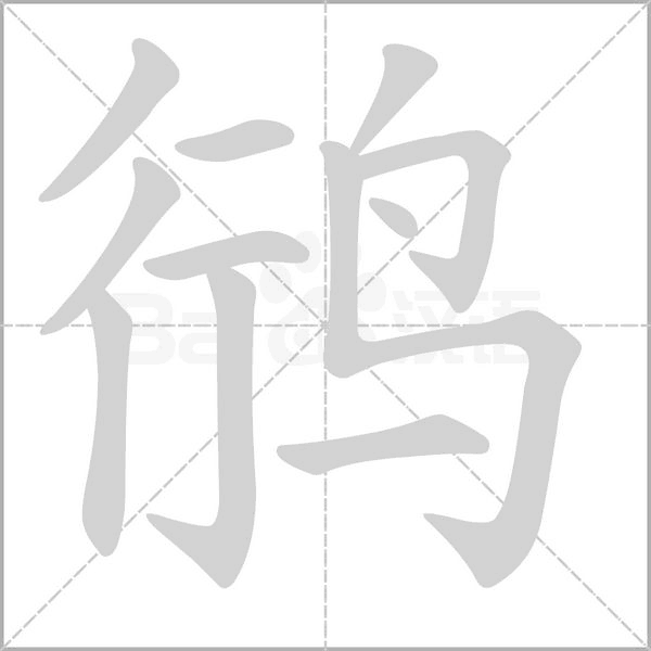 鸻字的拼音、笔顺、意思、组词、成语