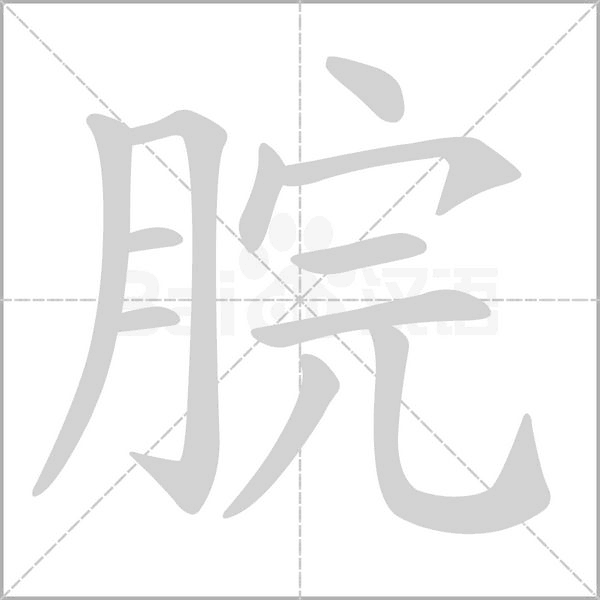 脘字的拼音、笔顺、意思、组词、成语