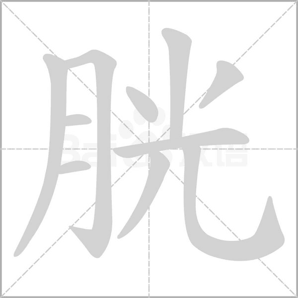 胱字的拼音、笔顺、意思、组词、成语