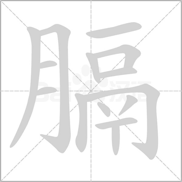 膈字的拼音、笔顺、意思、组词、成语