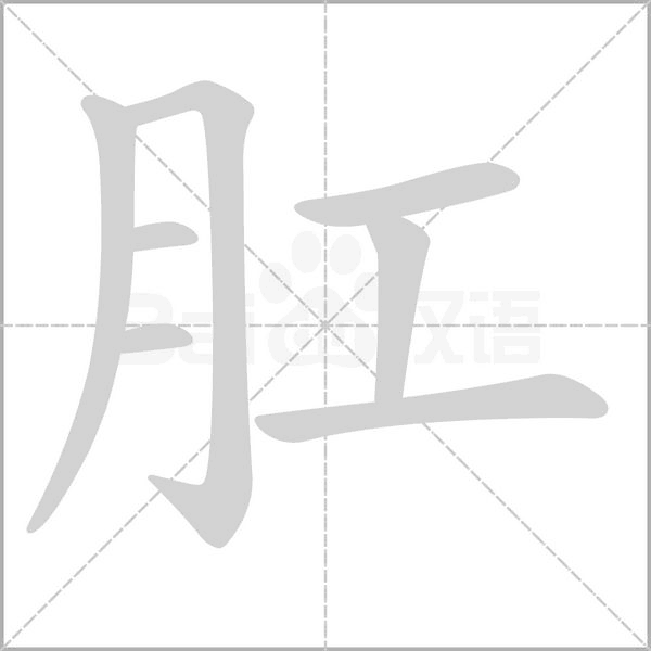 肛字的拼音、笔顺、意思、组词、成语