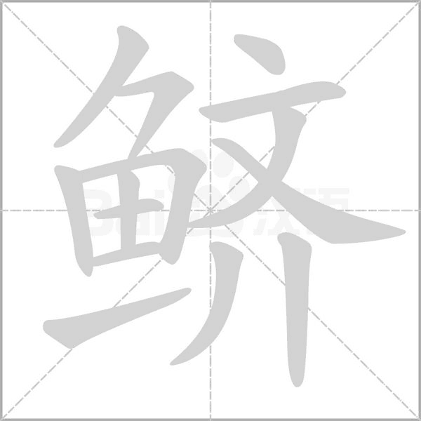 鲚字的拼音、笔顺、意思、组词、成语
