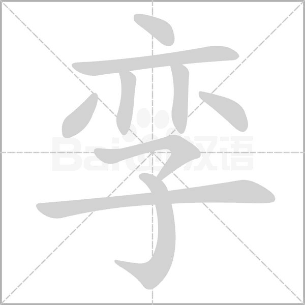 孪字的拼音、笔顺、意思、组词、成语