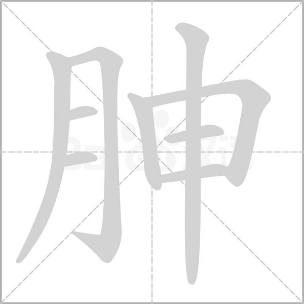 胂字的拼音、笔顺、意思、组词、成语