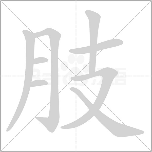 肢字的拼音、笔顺、意思、组词、成语