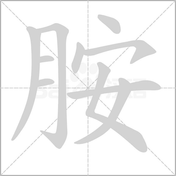 胺字的拼音、笔顺、意思、组词、成语