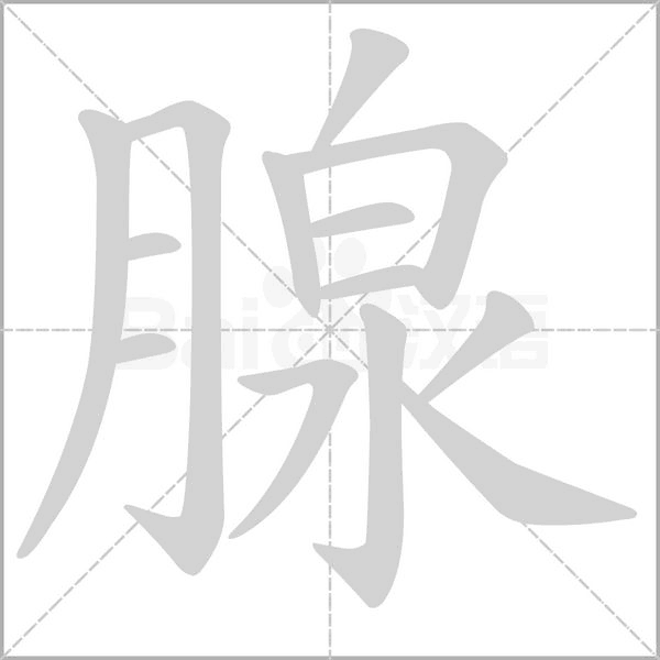 腺字的拼音、笔顺、意思、组词、成语