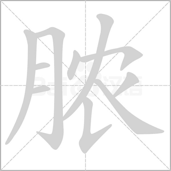 脓字的拼音、笔顺、意思、组词、成语