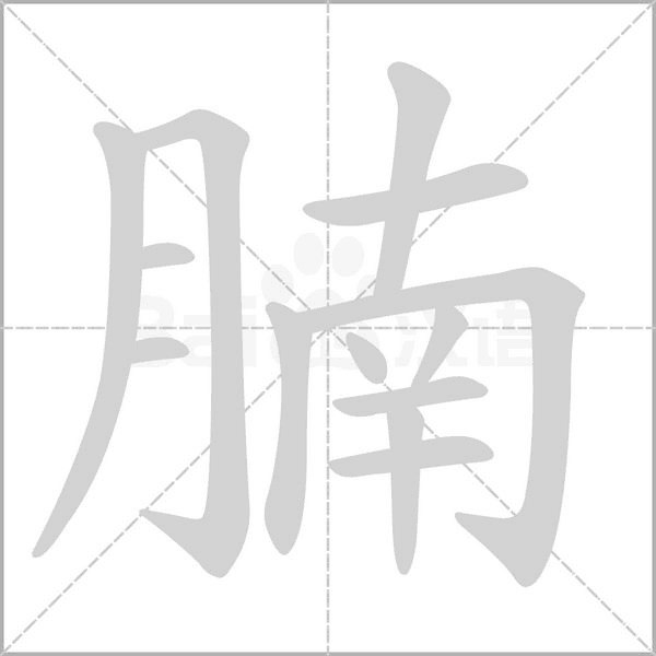 腩字的拼音、笔顺、意思、组词、成语