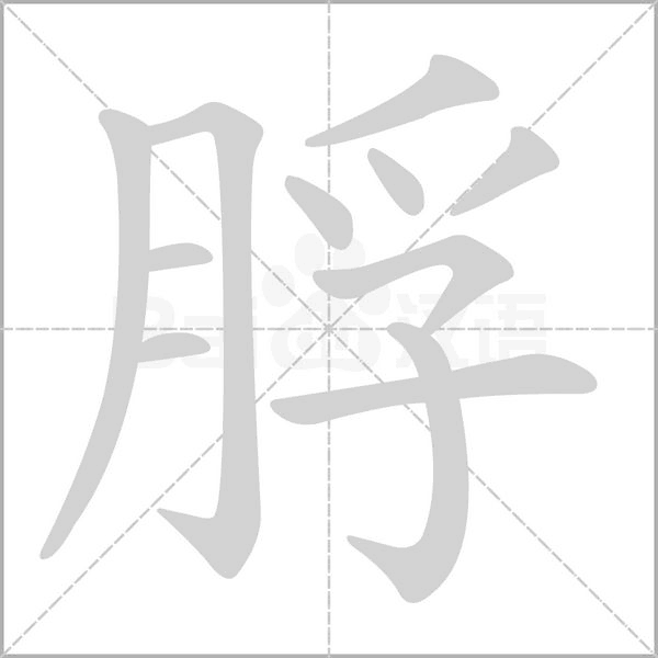 脬字的拼音、笔顺、意思、组词、成语