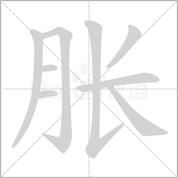 胀字的拼音、笔顺、意思、组词、成语