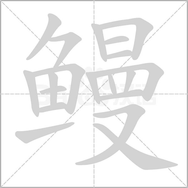 鳗字的拼音、笔顺、意思、组词、成语