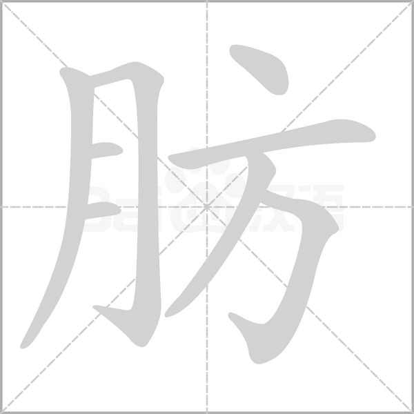 肪字的拼音、笔顺、意思、组词、成语