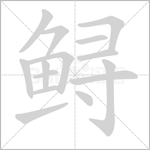 鲟字的拼音、笔顺、意思、组词、成语