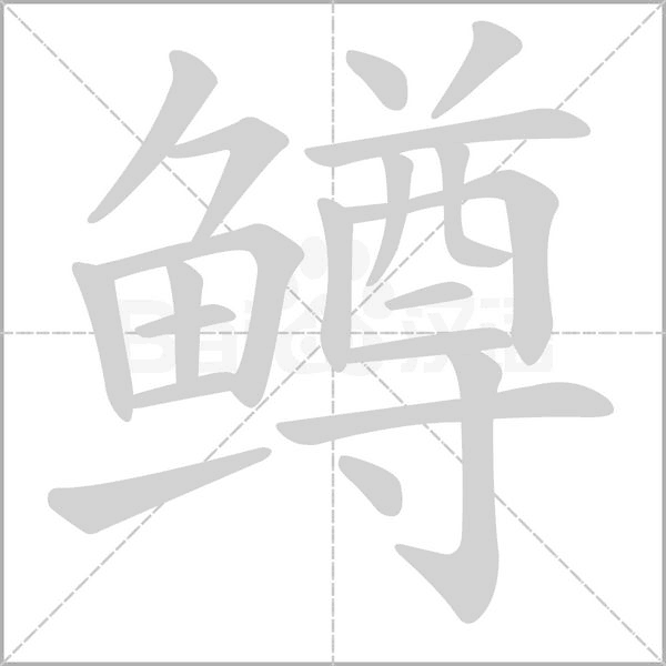 鳟字的拼音、笔顺、意思、组词、成语