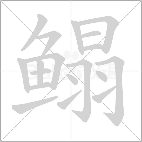 鳎字的拼音、笔顺、意思、组词、成语