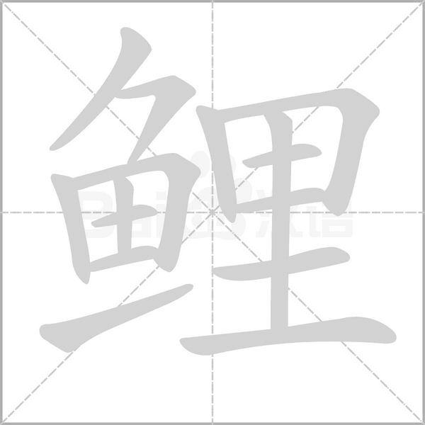 鲤字的拼音、笔顺、意思、组词、成语